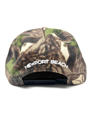 Bear Flag x Willbo. NB